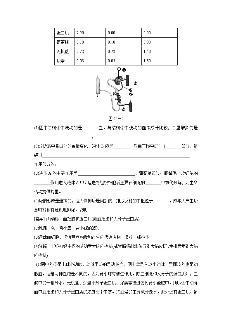 【培优导学案】浙教版科学九年级全册：20、体内物质的动态平衡 学案（含解析）02