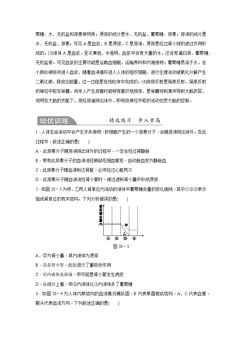 【培优导学案】浙教版科学九年级全册：20、体内物质的动态平衡 学案（含解析）03