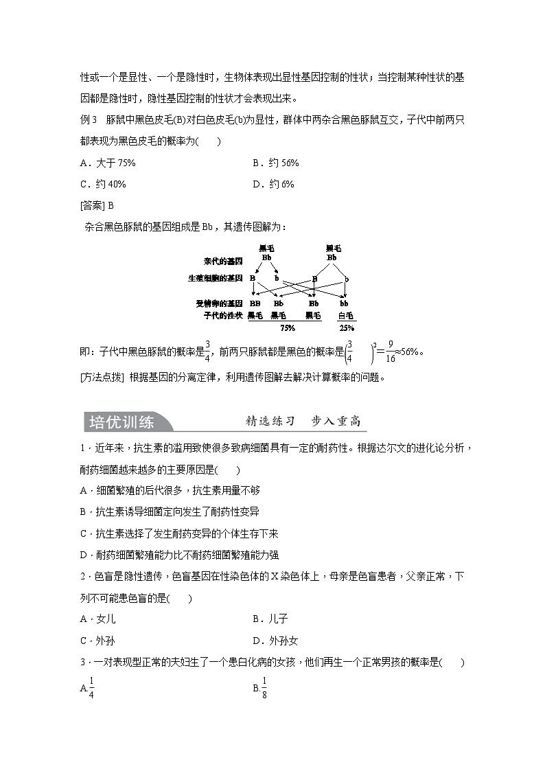 【培优导学案】浙教版科学九年级全册：21、遗传与进化 学案（含解析）03