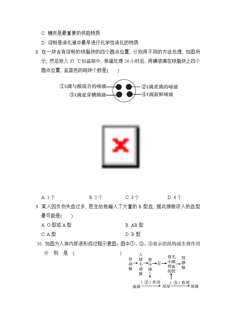 【阶段检测】浙教版科学九年级上册-第4章：代谢与平衡 综合素质评价（含解析）03
