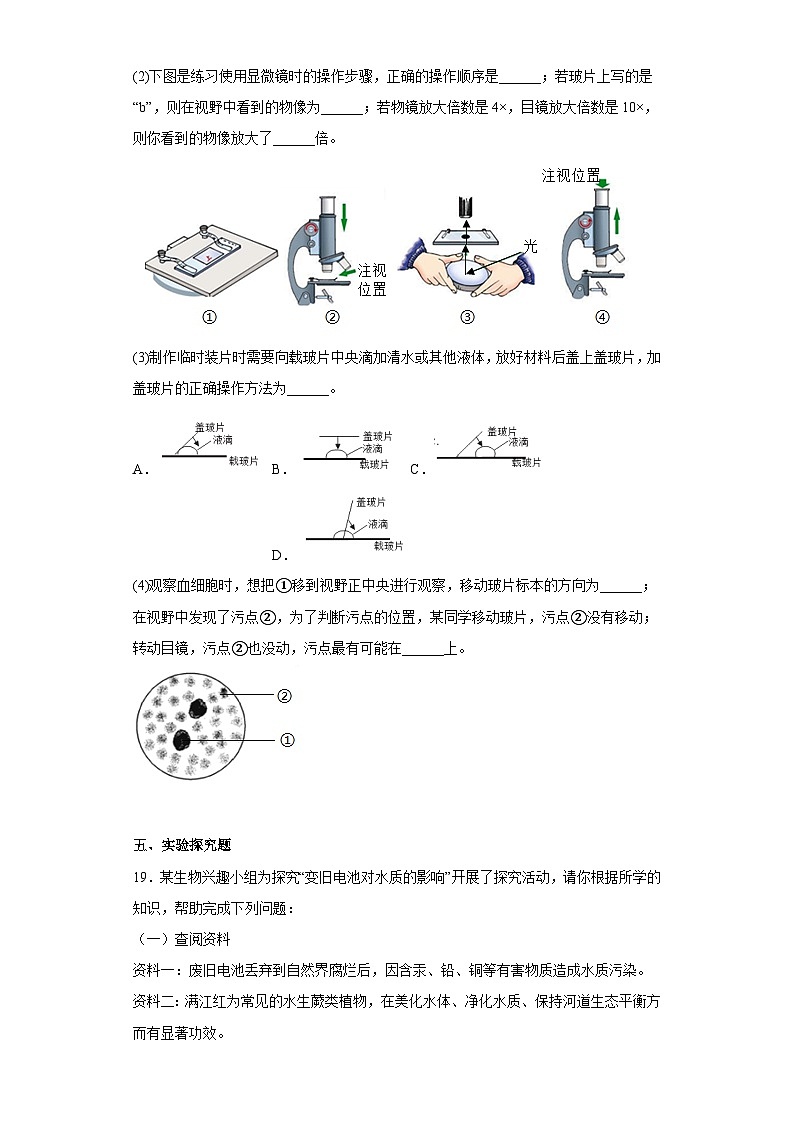 苏科版 生物 七年级上册  1.1  生物学——研究生命的科学 章节训练 （附答案）第3页