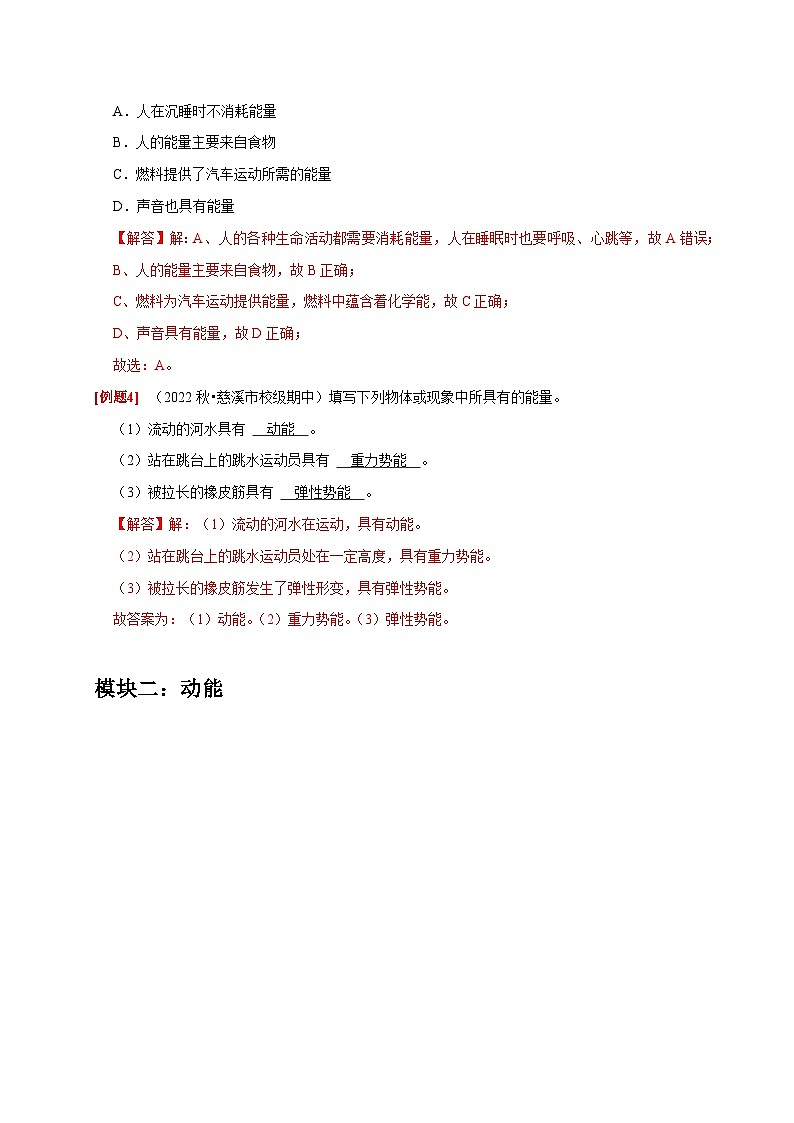 第10讲 能量及其存在形式（解析版）第3页