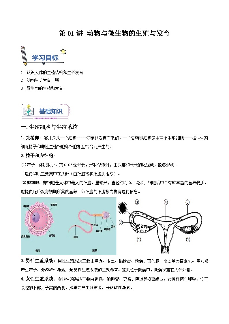 第01讲 动物与微生物的生殖与发育-2023-2024学年新八年级科学暑假精品课 试卷01