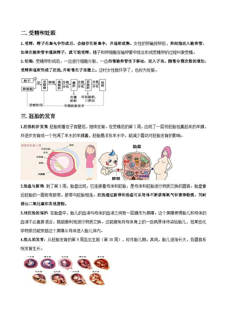 第01讲 动物与微生物的生殖与发育-2023-2024学年新八年级科学暑假精品课 试卷02