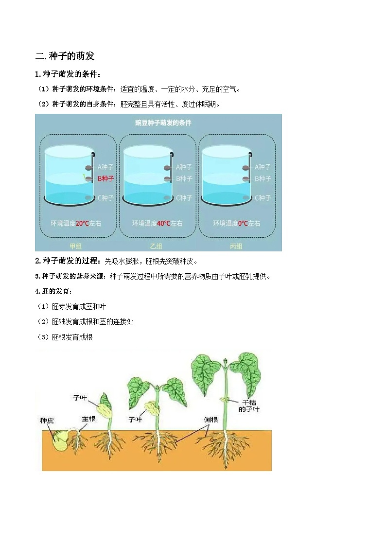 第02讲 植物的一生与生殖方式-2023-2024学年新八年级科学暑假精品课 试卷02