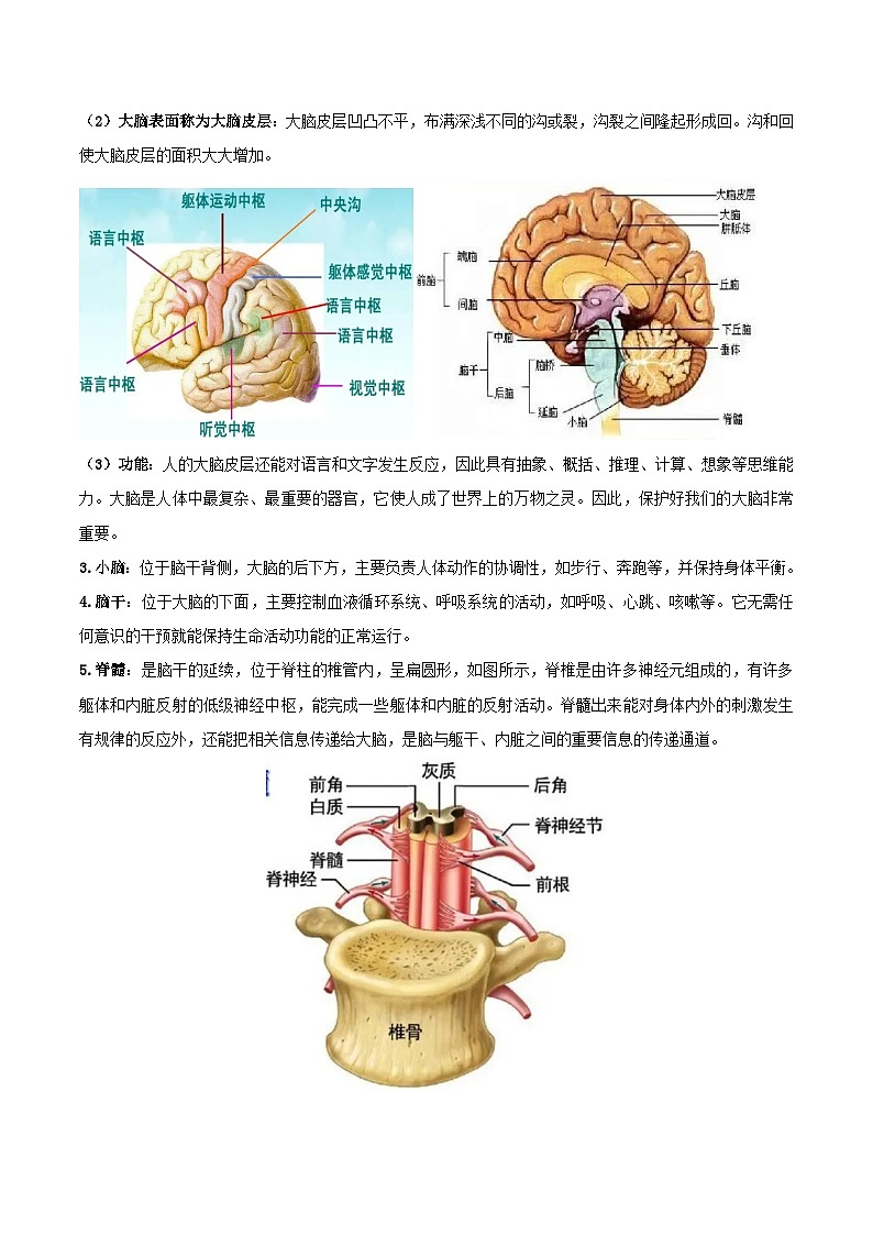 第20讲 神经和体温调节-2023-2024学年新八年级科学暑假精品课 试卷03