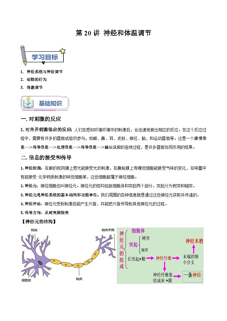 第20讲 神经和体温调节-2023-2024学年新八年级科学暑假精品课 试卷01