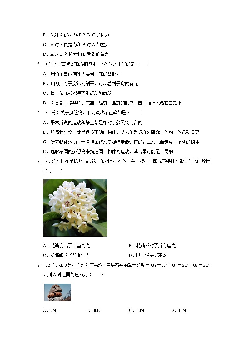 2020-2021学年浙江省杭州市富阳区七年级下学期期末科学试卷（含解析）02