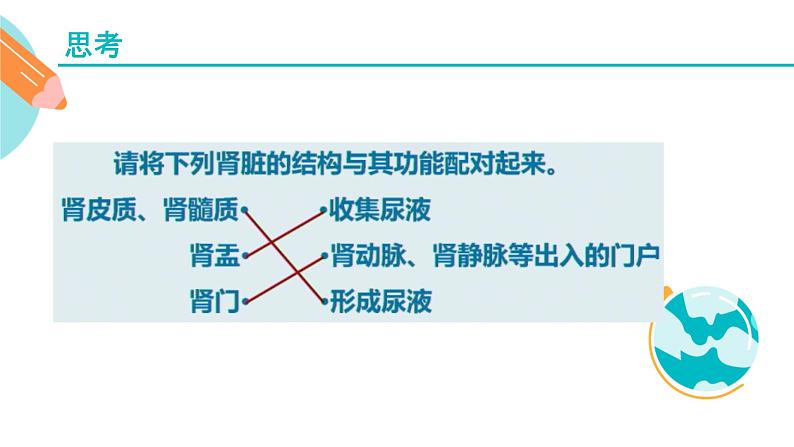 人体内水分的平衡与调节课件PPT07