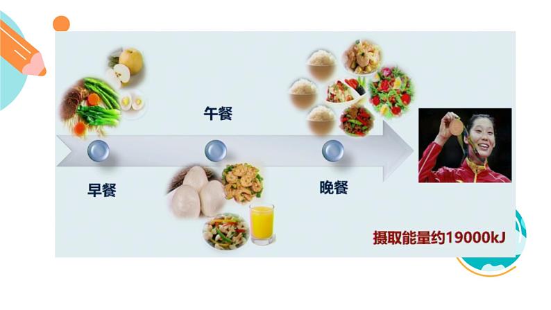 人体内能量的平衡与调节课件PPT02