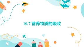 初中科学牛津上海版七年级上册营养物质的吸收示范课ppt课件