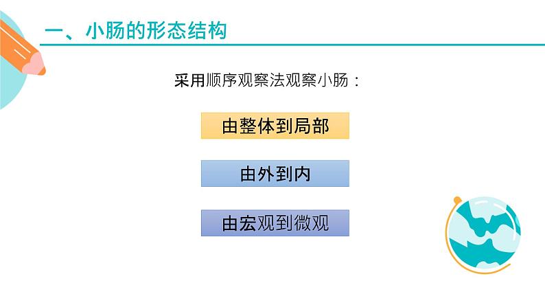 营养物质的吸收课件PPT第3页