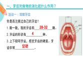 食物的消化过程课件PPT