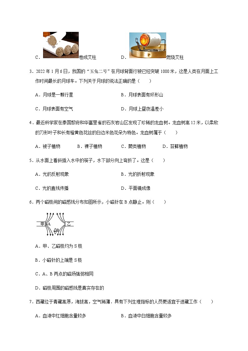 备战2024年中考浙江省初中学业水平考试科学模拟卷（四）（原卷版）第2页
