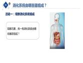 消化系统组成及作用课件PPT