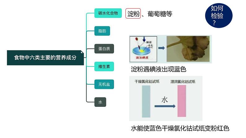 食物中主要营养成分的检验课件PPT第2页