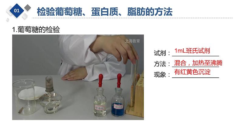 食物中主要营养成分的检验课件PPT第3页