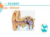 耳的主要结构和功能课件PPT