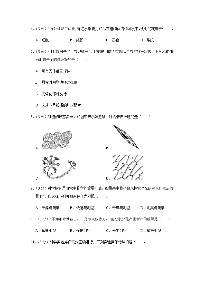 浙江省金华市金东区2022-2023学年七年级上学期期末科学试卷02