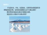 2022浙教版八上科学 1.6物质的分离 第1课时（课件+教学设计+学案+视频）