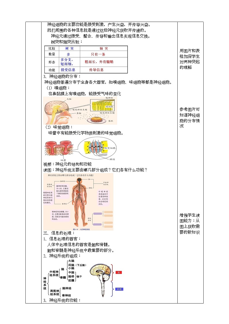 2022浙教版八上科学3.3神经调节  第1课时（课件+教学设计+学案+视频）03