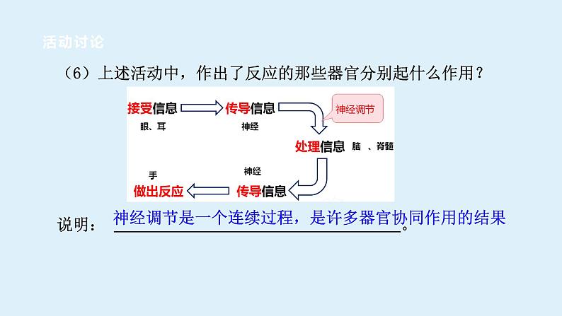 2022浙教版八上科学3.3神经调节  第1课时（课件+教学设计+学案+视频）07