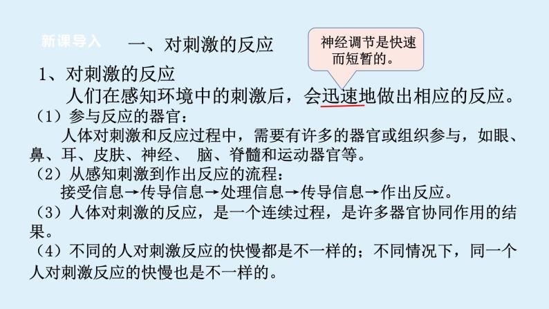 2022浙教版八上科学3.3神经调节  第1课时（课件+教学设计+学案+视频）08