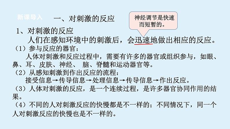 2022浙教版八上科学3.3神经调节  第1课时（课件+教学设计+学案+视频）08