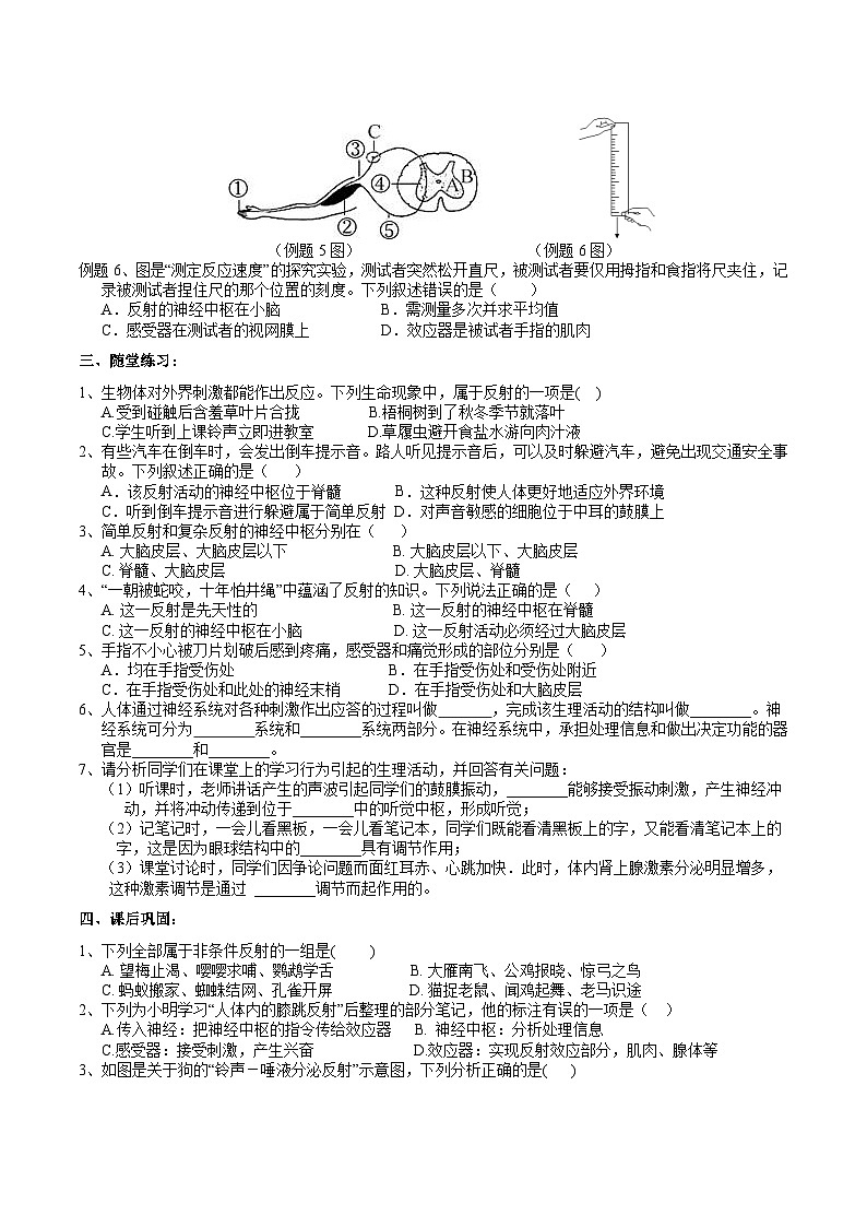 2022浙教版八上科学3.3神经调节（2）学案（含答案）第2页