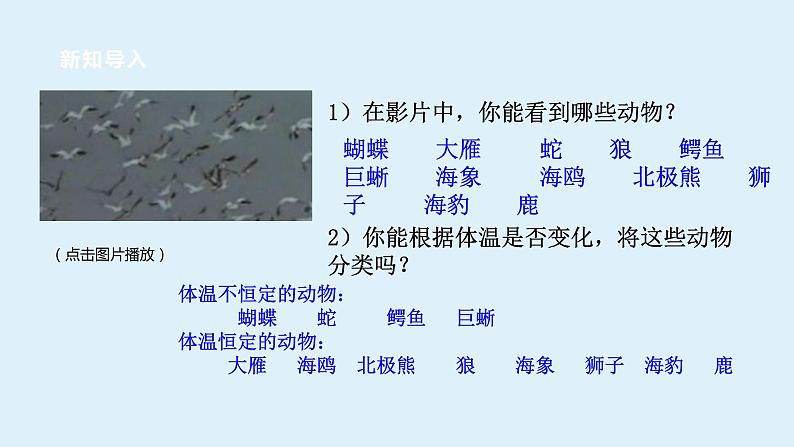 2022浙教版八上科学3.5体温的控制（课件+教学设计+学案+视频）03