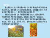 2022浙教版八上科学3.1植物的生命活动调节 第1课时（课件+教学设计+学案+视频）