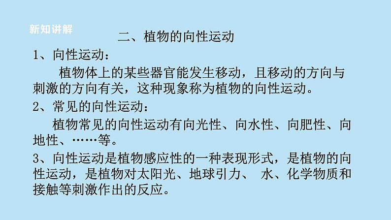 2022浙教版八上科学3.1植物的生命活动调节 第1课时（课件+教学设计+学案+视频）05