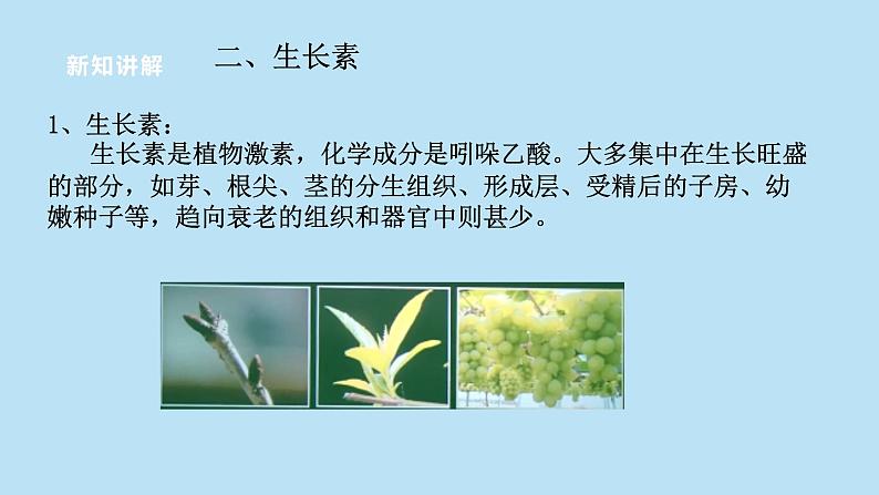 2022浙教版八上科学3.1植物的生命活动调节 第2课时（课件+教学设计+学案+视频）06