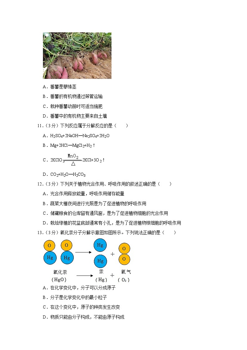 浙江省金华市金东区2022-2023学年八年级下学期期末科学试题第3页