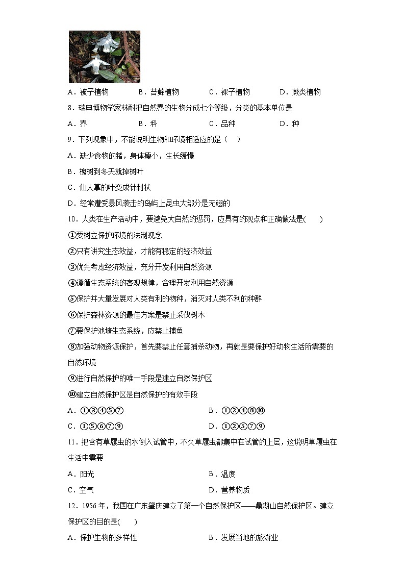 第三章 生物多样性 选择题 专题训练   华东师大版科学七年级上册02