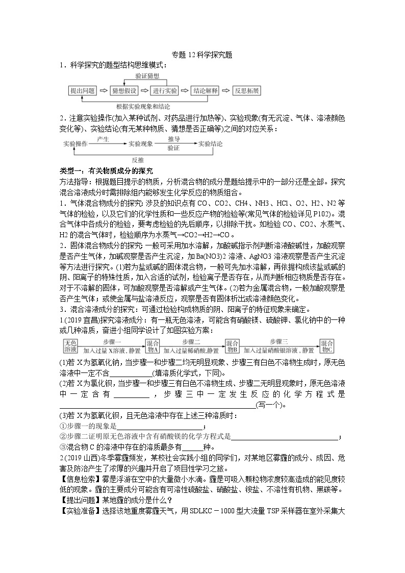 中考化学二轮复习热点专题训练：专题12科学探究题 (含答案)01