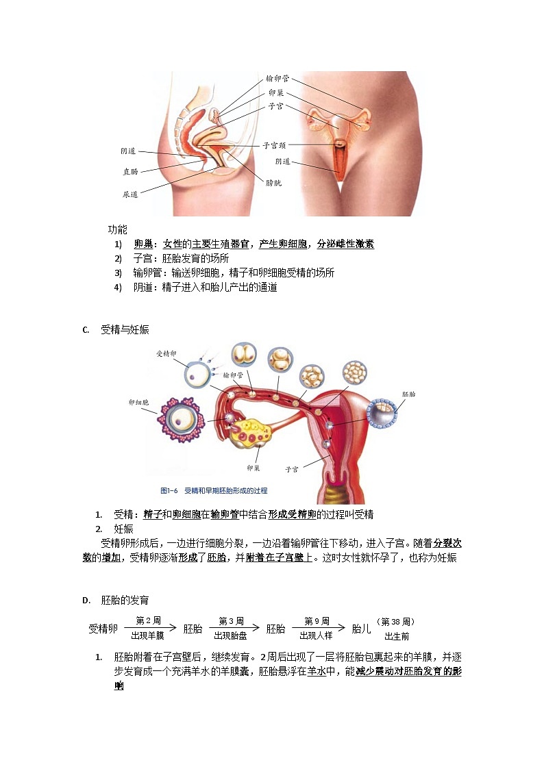 中考复习  浙教版科学七年级下册 第1章 代代相传的生命 知识点02