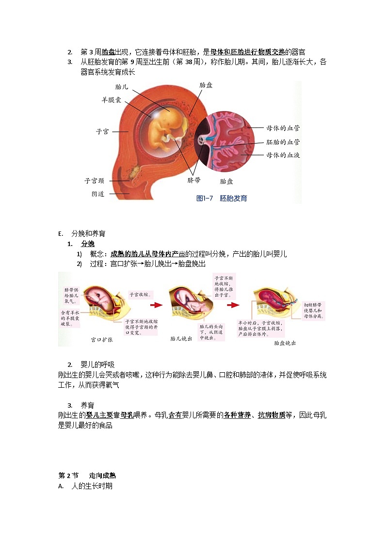中考复习  浙教版科学七年级下册 第1章 代代相传的生命 知识点03