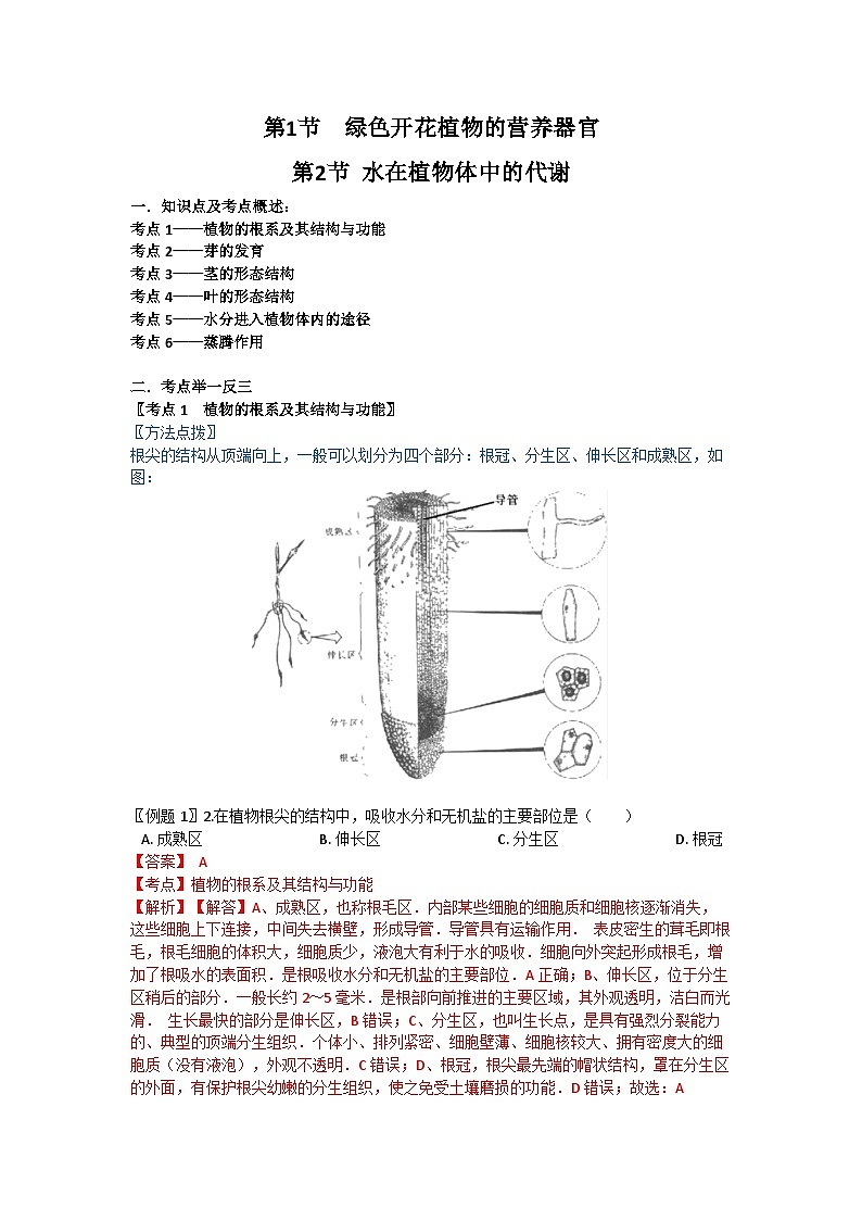 华师大版科学八年级上册 4.1-4.2 绿色开花植物的营养器官 水在植物体中的运输学案01
