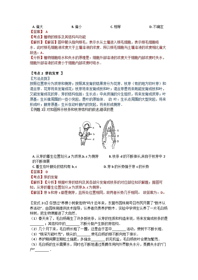 华师大版科学八年级上册 4.1-4.2 绿色开花植物的营养器官 水在植物体中的运输学案03