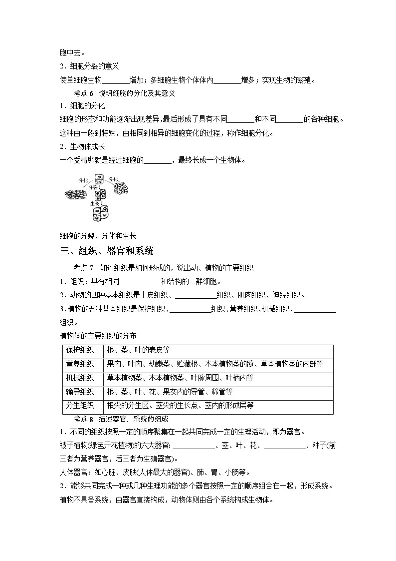 中考科学 二轮专题 专题02 细胞 学案第3页