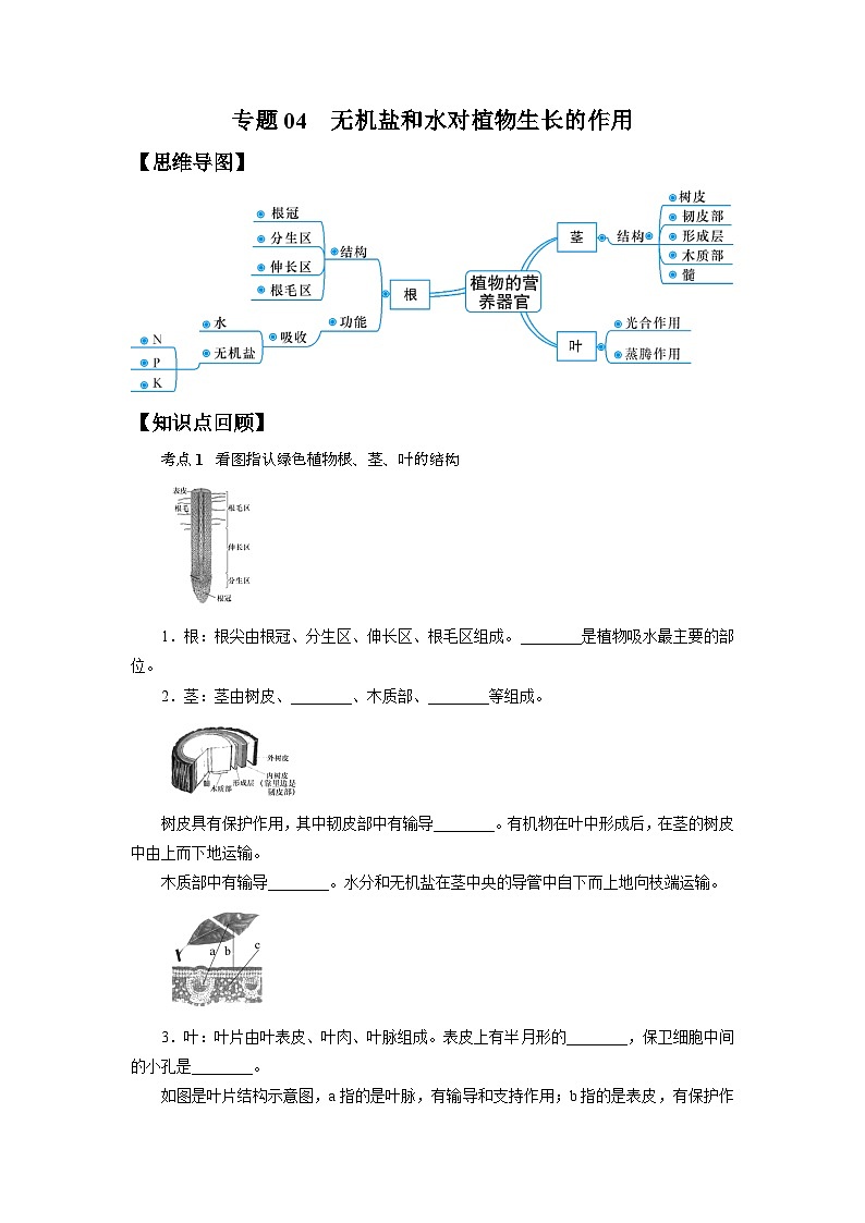 中考科学 二轮专题 专题04 无机盐和水对植物生长的作用 学案第1页