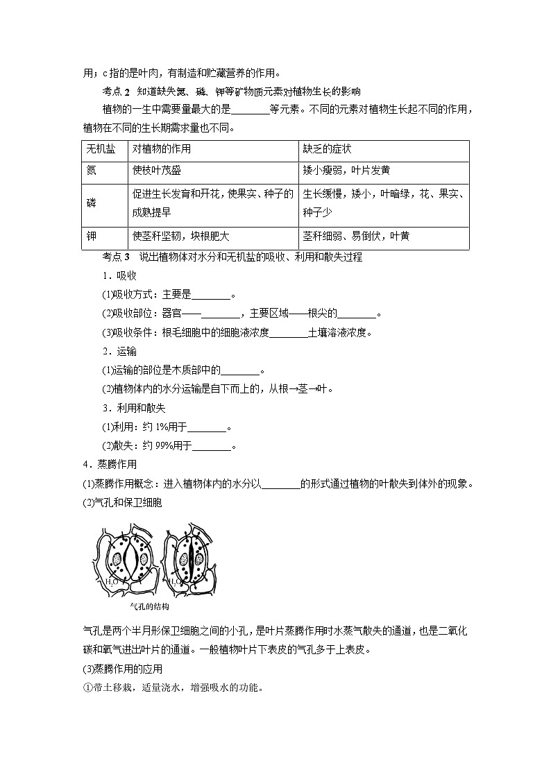 中考科学 二轮专题 专题04 无机盐和水对植物生长的作用 学案第2页