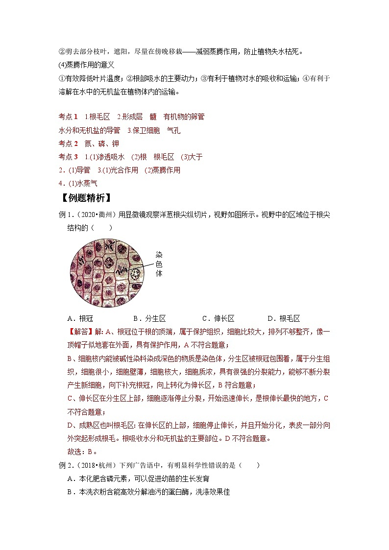 中考科学 二轮专题 专题04 无机盐和水对植物生长的作用 学案第3页