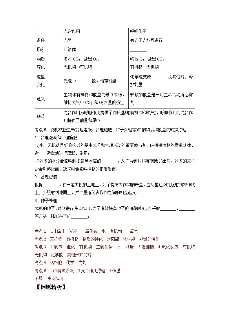 中考科学 二轮专题 专题05 绿色植物的物质和能量转换 学案第2页