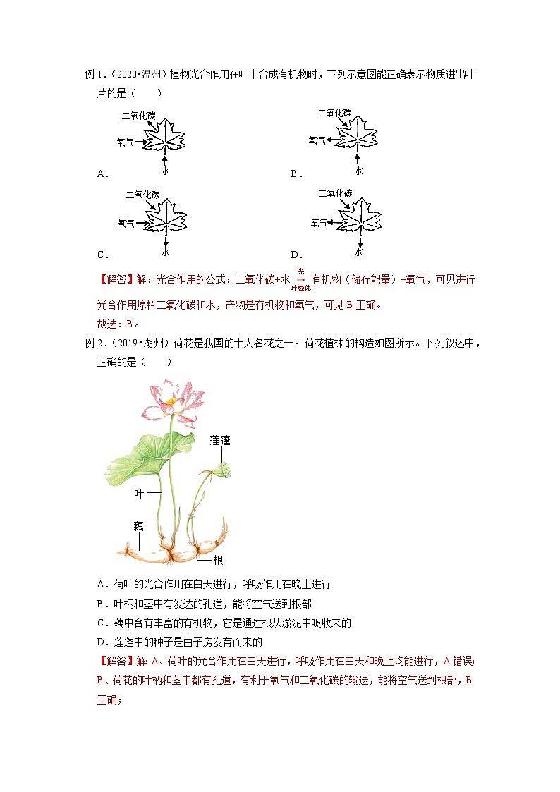 中考科学 二轮专题 专题05 绿色植物的物质和能量转换 学案第3页