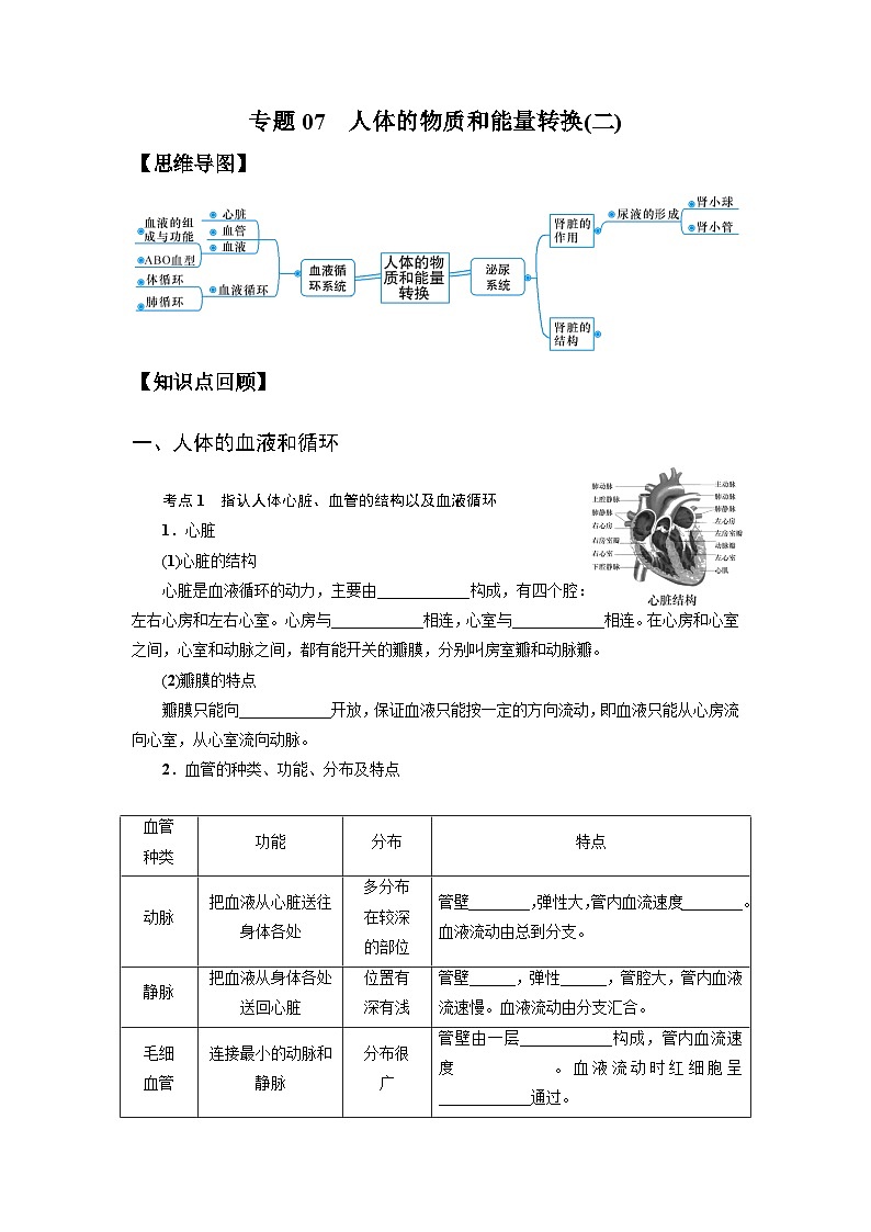 中考科学 二轮专题 专题07 人体的物质和能量转换(二) 学案第1页