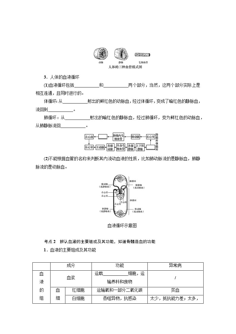 中考科学 二轮专题 专题07 人体的物质和能量转换(二) 学案第2页