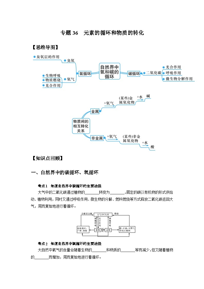 中考科学 二轮专题 专题36 元素的循环和物质的转化 学案01