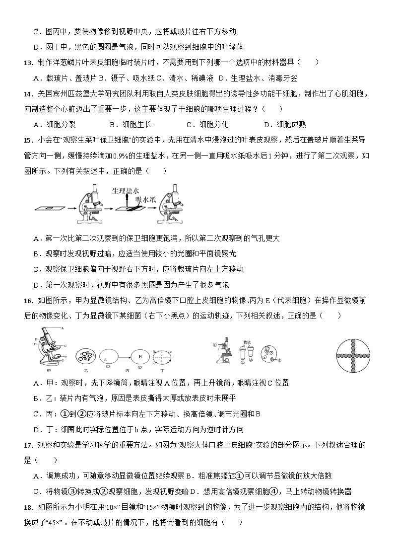2.2细胞练习 浙教版七年级上册科学03